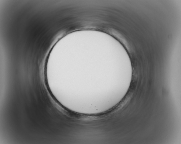 X0000086911475200705141652