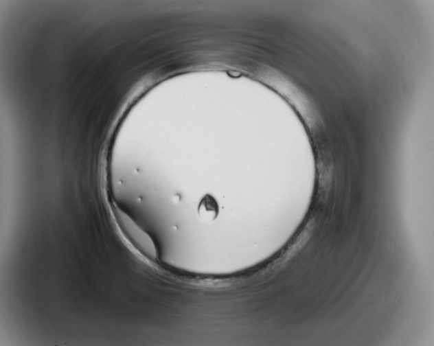 X0000086911476200705141652