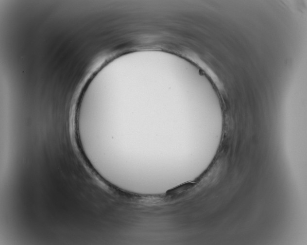 X0000086911477200705141652