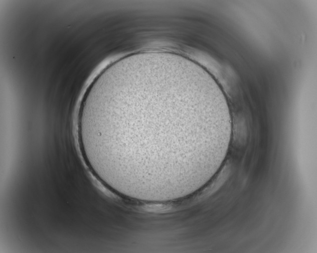 X0000086911478200705141652