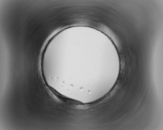 X0000086911480200705141652