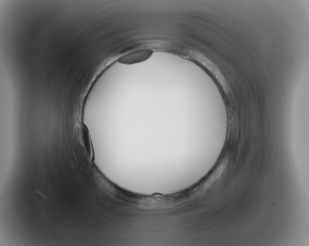 X0000086911481200705141652