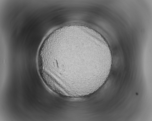 X0000086911482200705141652