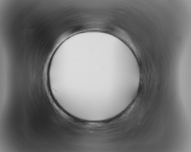 X0000086911483200705141652