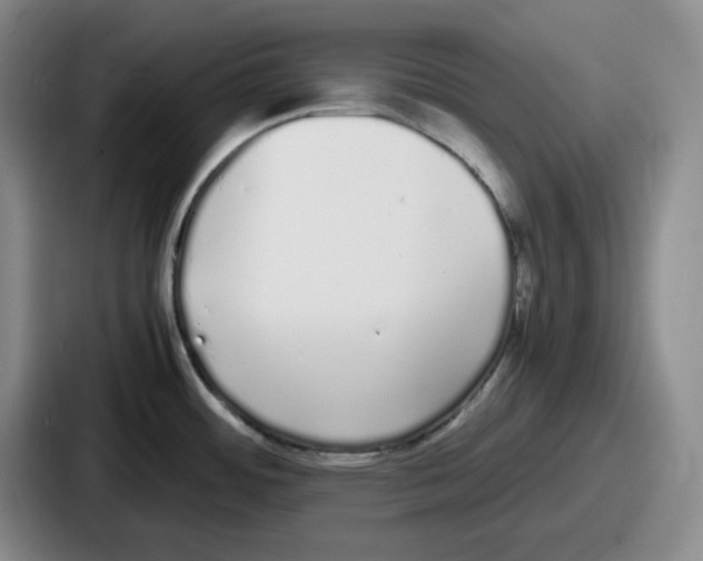 X0000086911484200705141652