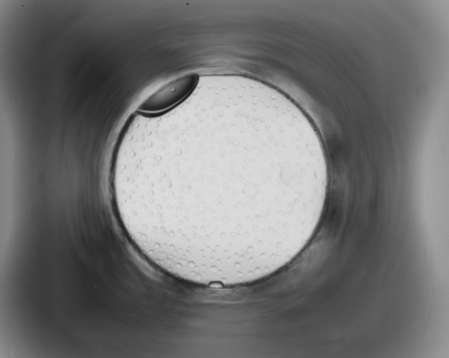 X0000086911485200705141652