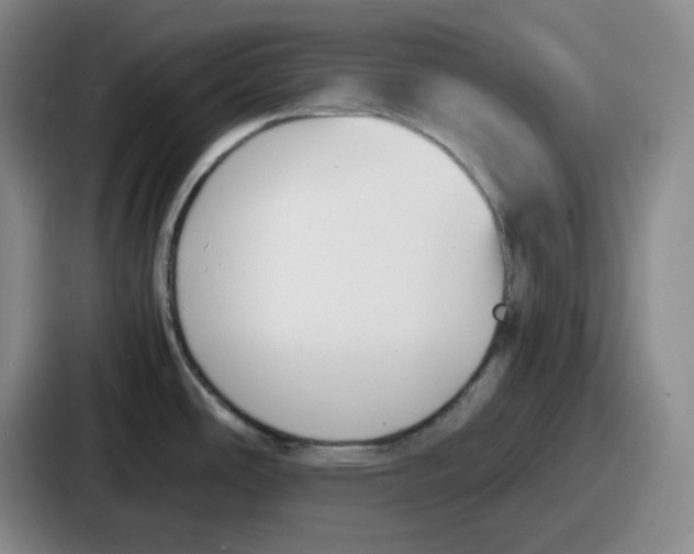 X0000086911486200705141652