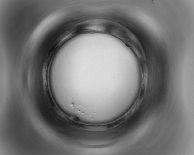 X0000086911487200705141652