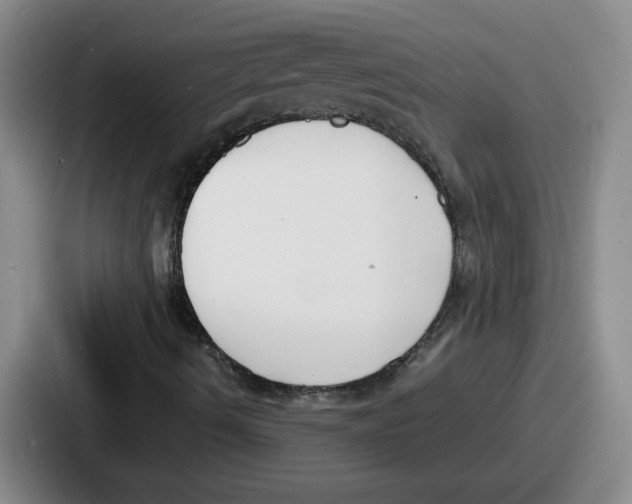 X0000086911490200705141652