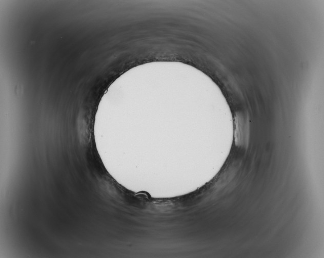 X0000086911491200705141652