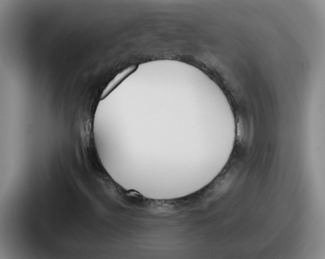 X0000086911492200705141652