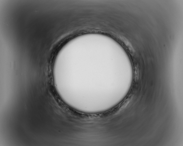 X0000086911494200705141652