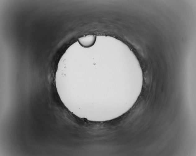 X0000086911495200705141652