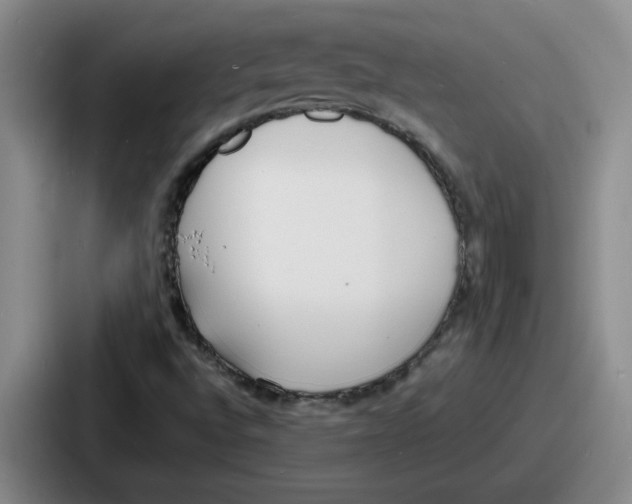 X0000086911496200705141652