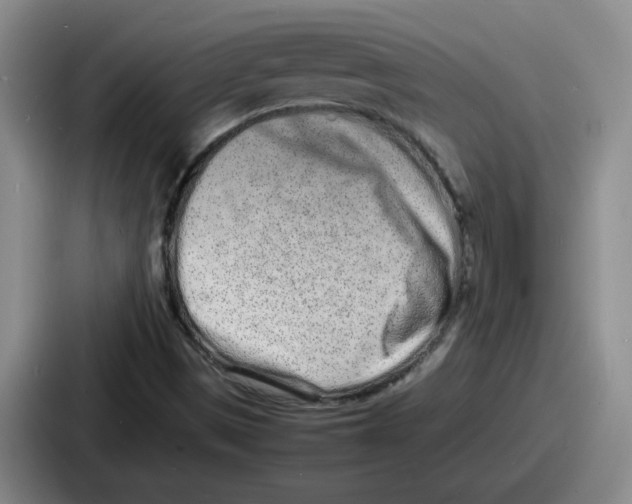 X0000086911497200705141652