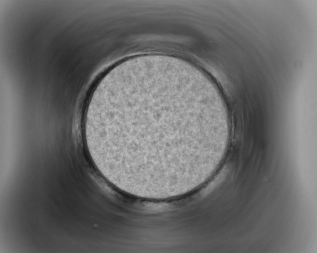 X0000086911498200705141652