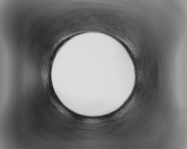 X0000086911499200705141652