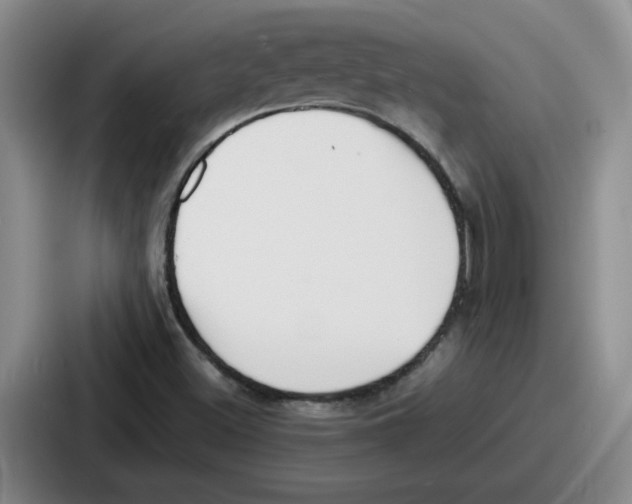 X0000086911500200705141652