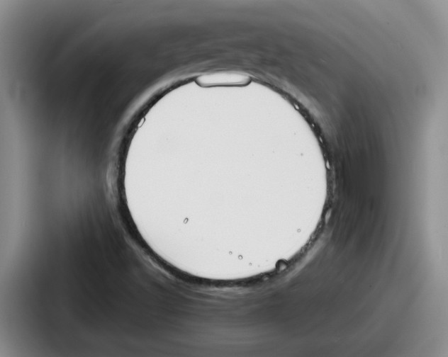 X0000086911502200705141652