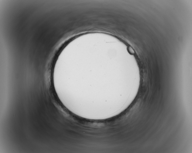 X0000086911503200705141652