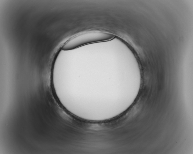 X0000086911504200705141652