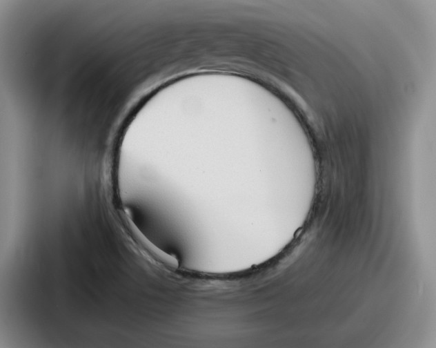 X0000086911506200705141652