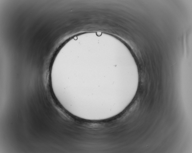 X0000086911507200705141652