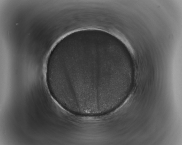 X0000086911508200705141652