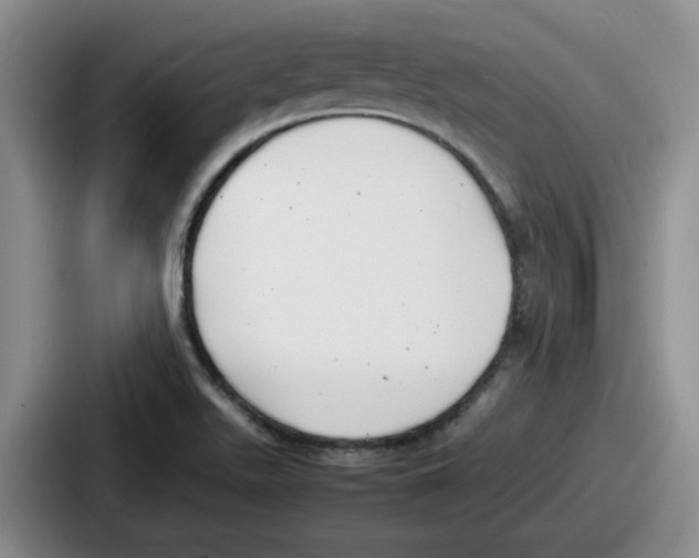 X0000086911511200705141652