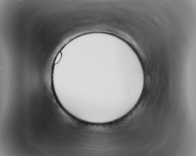 X0000086911512200705141652