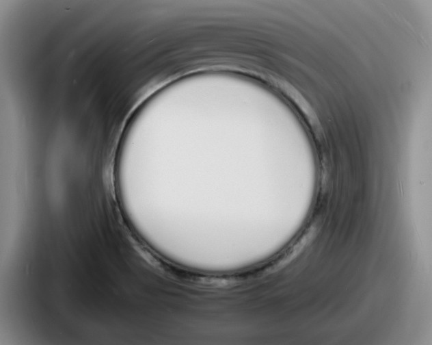 X0000086911513200705141652