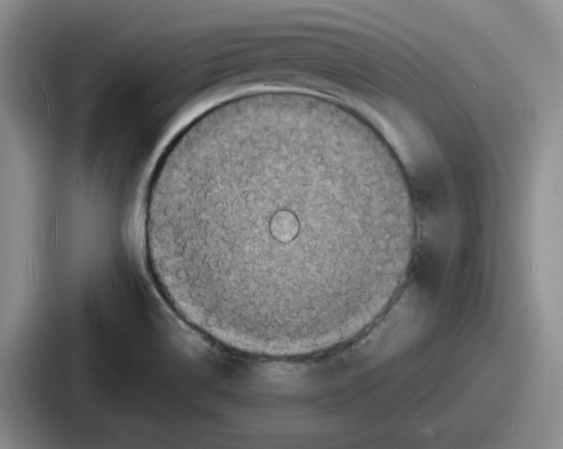 X0000086911514200705141652