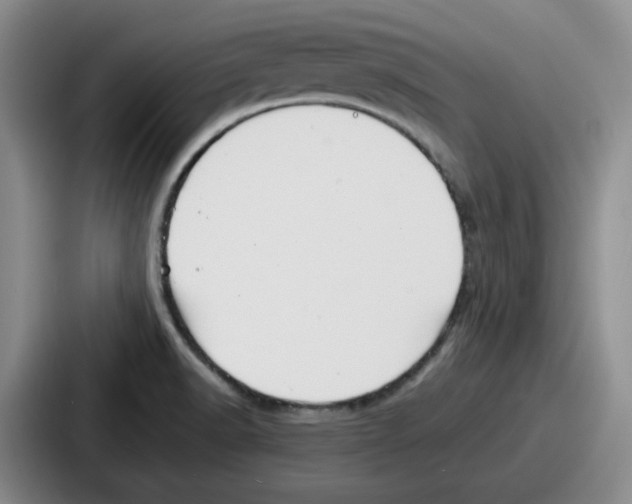 X0000086911518200705141652