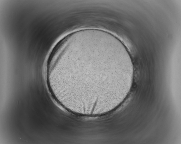 X0000086911519200705141652