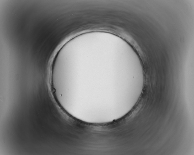 X0000086911520200705141652