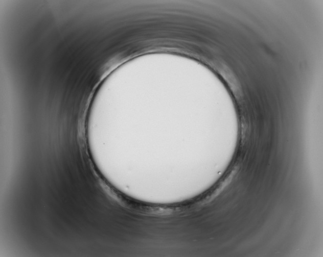 X0000086911521200705141652