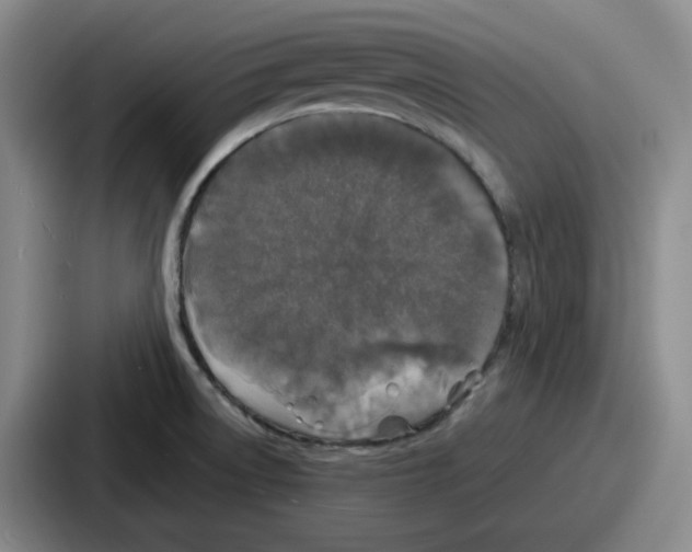 X0000086911522200705141652