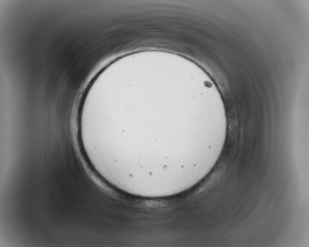 X0000086911523200705141652