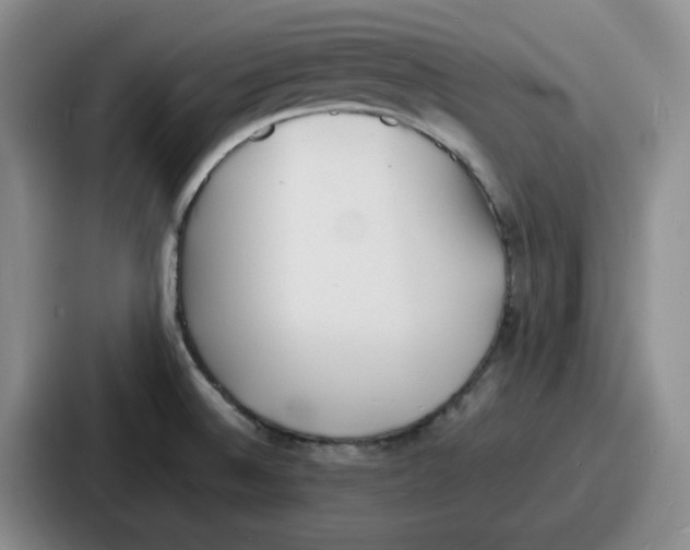 X0000086911524200705141652