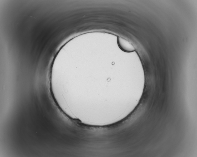 X0000086911526200705141652