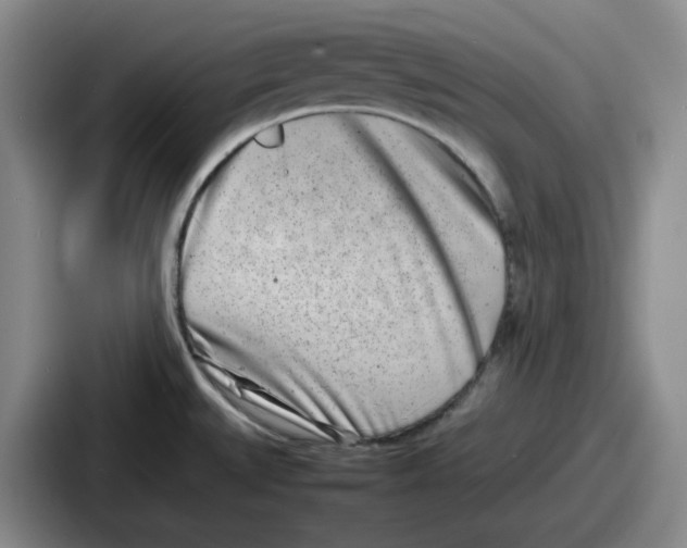 X0000086911527200705141652