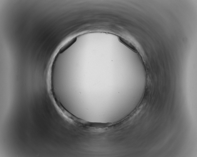 X0000086911528200705141652