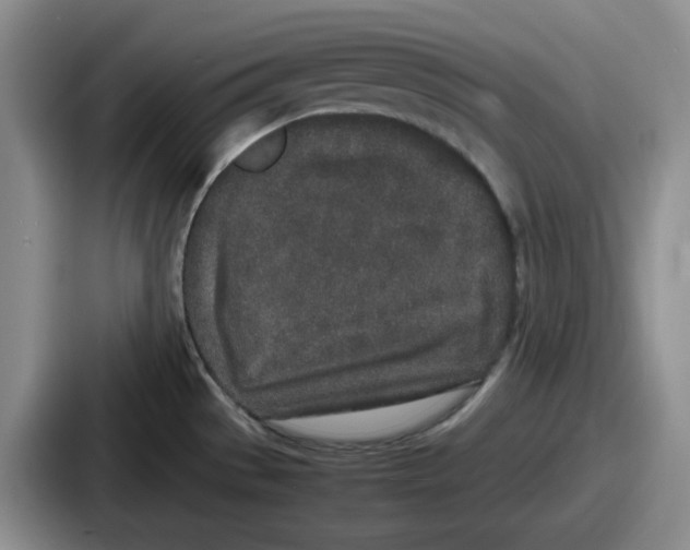 X0000086911529200705141652