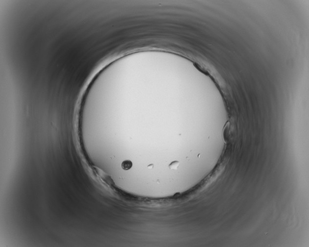 X0000086911530200705141652