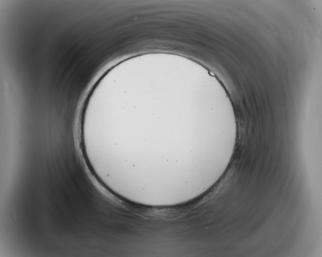 X0000086911531200705141652