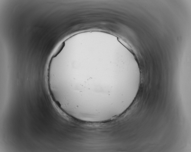 X0000086911532200705141652