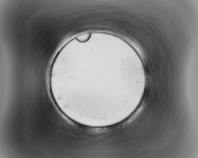 X0000086911533200705141652