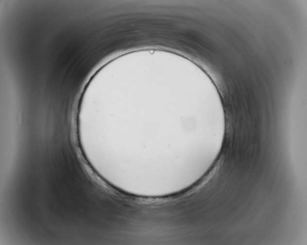 X0000086911534200705141652