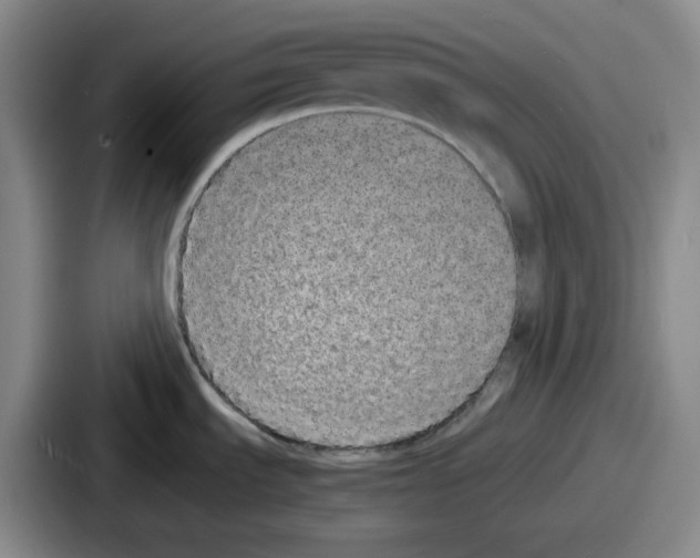 X0000086911535200705141652