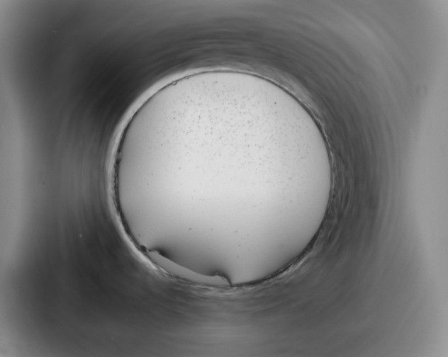 X0000086911536200705141652